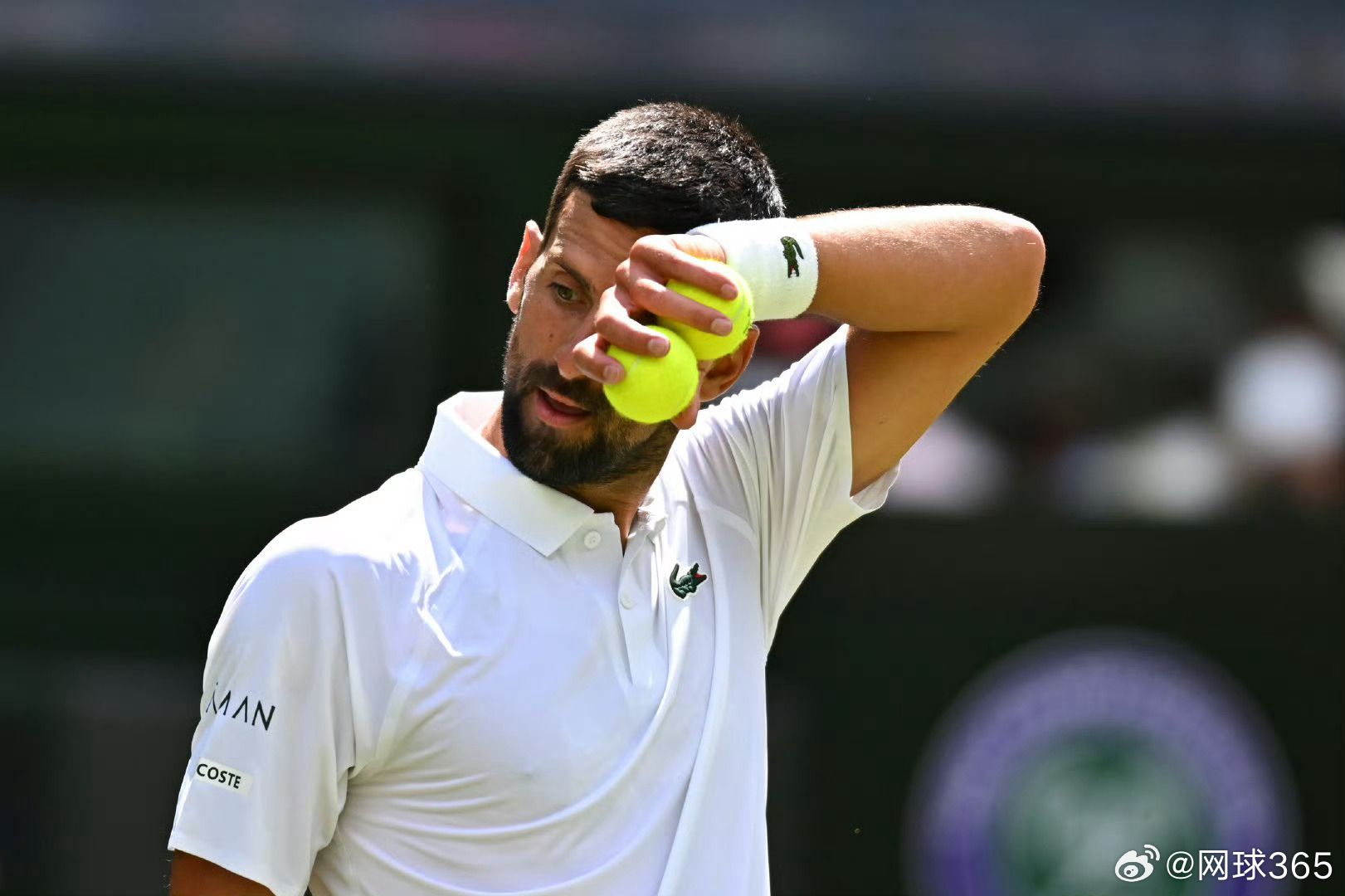 戴维斯杯绝杀温网，德约科维奇高光表现