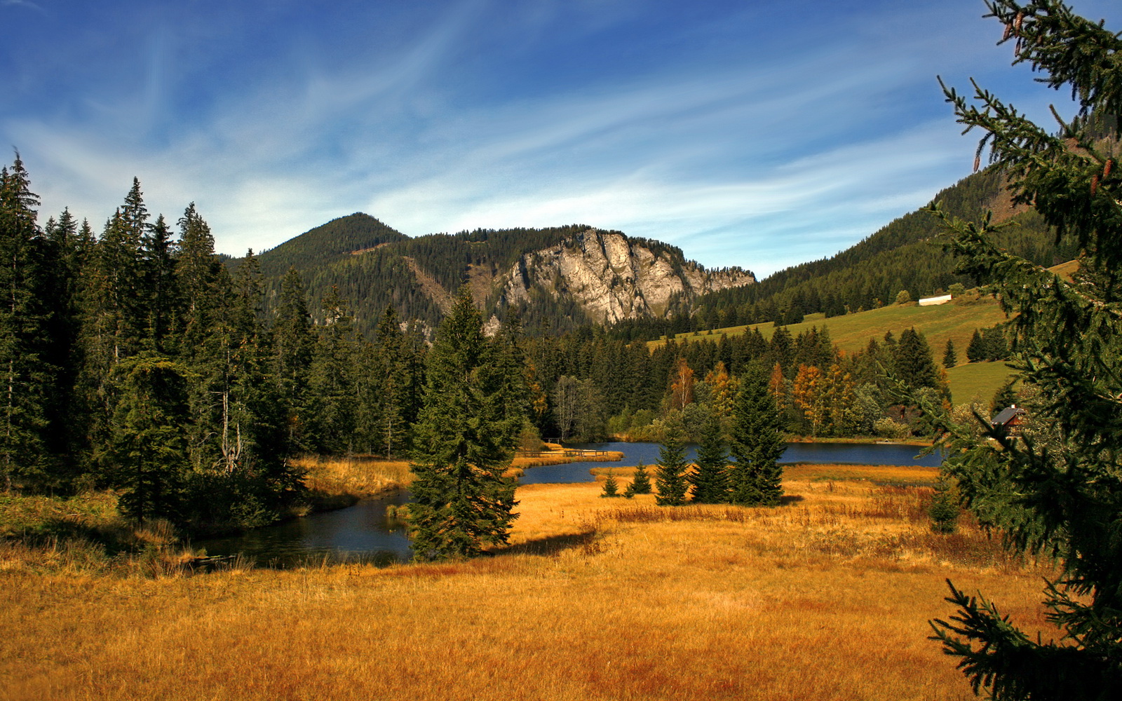 从关键先生到绝对领袖,福克斯加时赛封神一战,浙江男篮的血性与未来